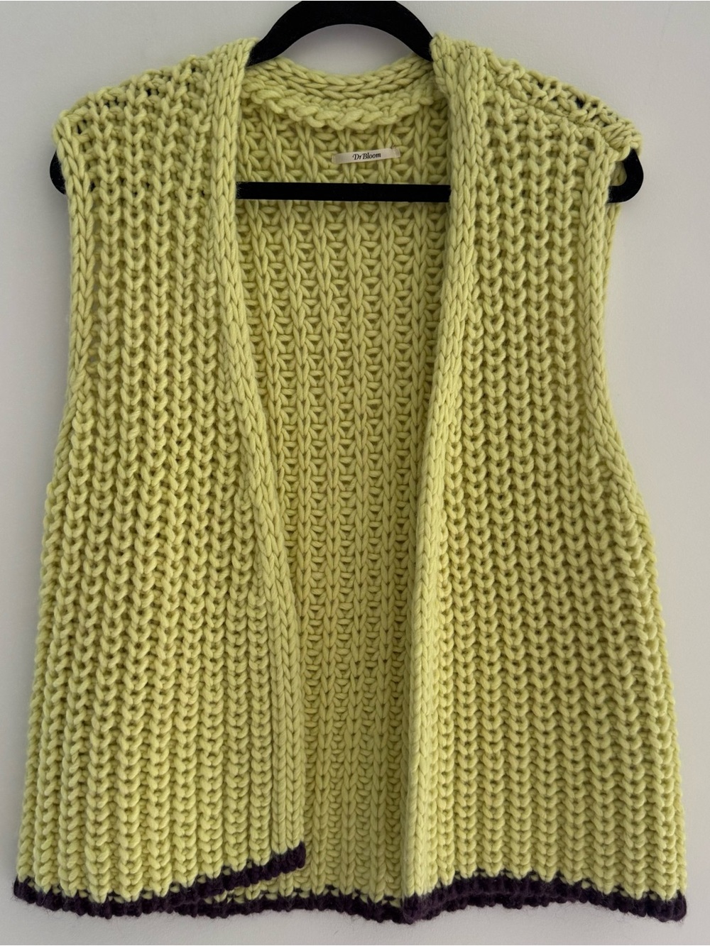 Free people chunky knit vest